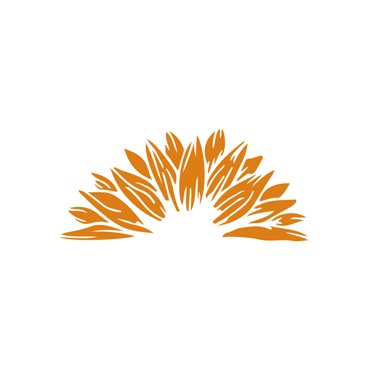 demi tournesol cuivre trans